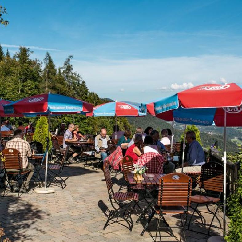 Nette Gäste in der Sonne