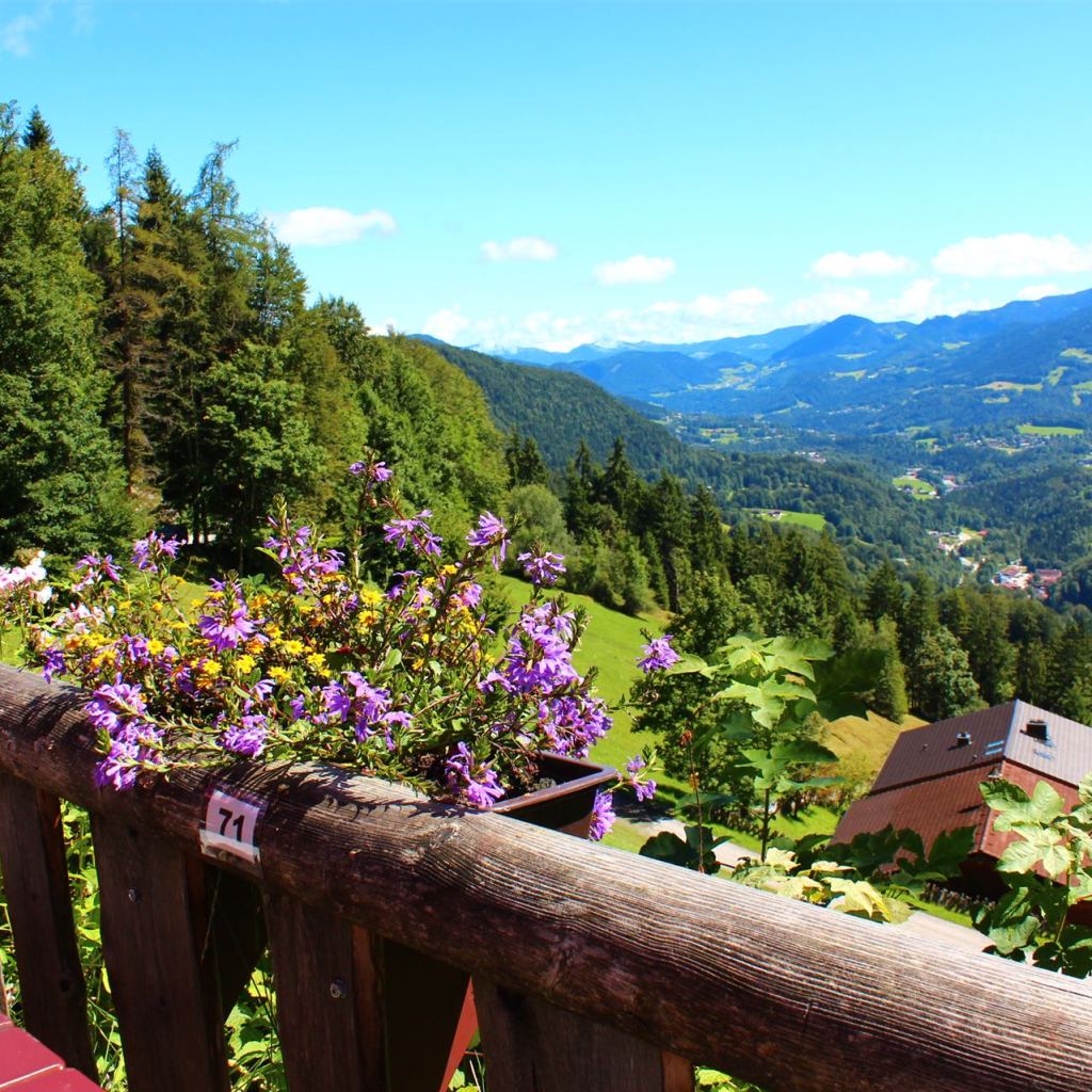 Im Hintergrund der Hohe Göll